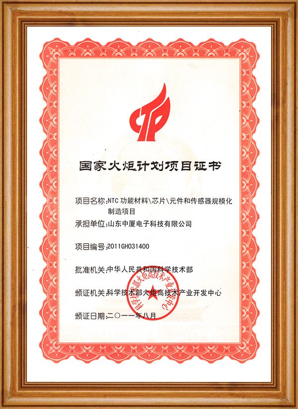 火炬計劃(圖1)